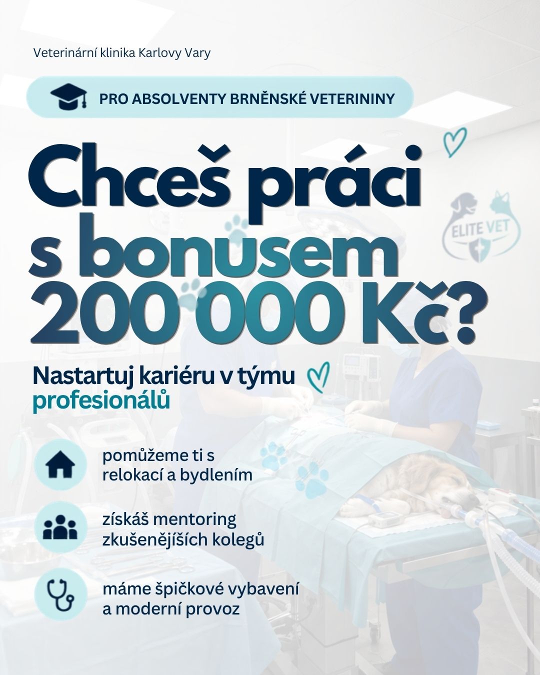 Chceš práci s bonusem 200 000 Kč? Nábor absolventek a absolventů Veterinární univerzity Brno do veterinární kliniky Elite Vet Karlovy Vary: mentoring, pomoc s relokací a bydlením, špičkové vybavení. Bonus v hodnotě 200 000 Kč zahrnuje bydlení, vybavení bytu a odborné kurzy.