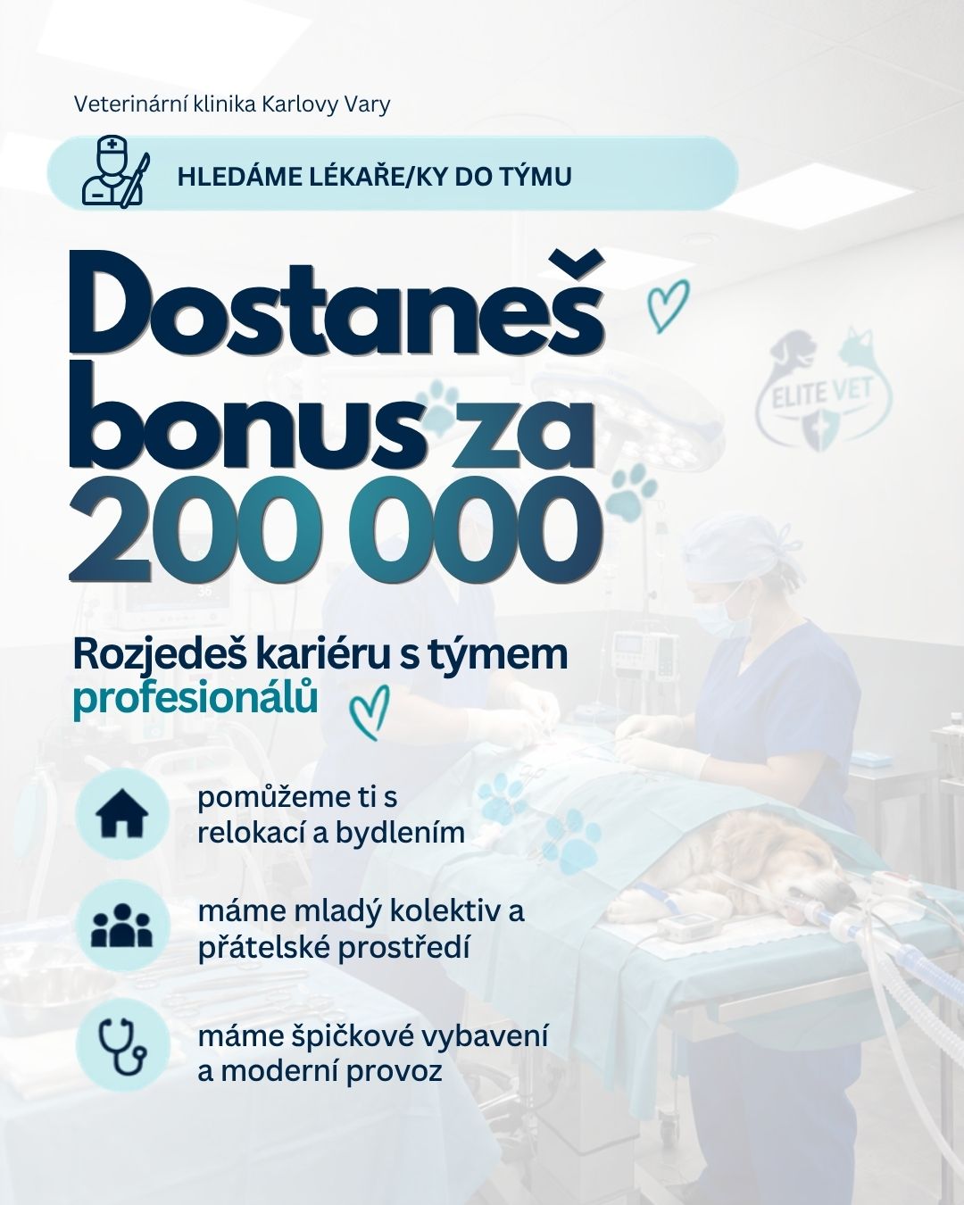 Dostaneš bonus 200 000 Kč. Veterinární klinika Elite Vet Karlovy Vary hledá lékaře a lékařky do týmu: pomoc s relokací a bydlením, špičkové vybavení. Bonus v hodnotě 200 000 Kč zahrnuje bydlení, vybavení bytu a odborné kurzy.