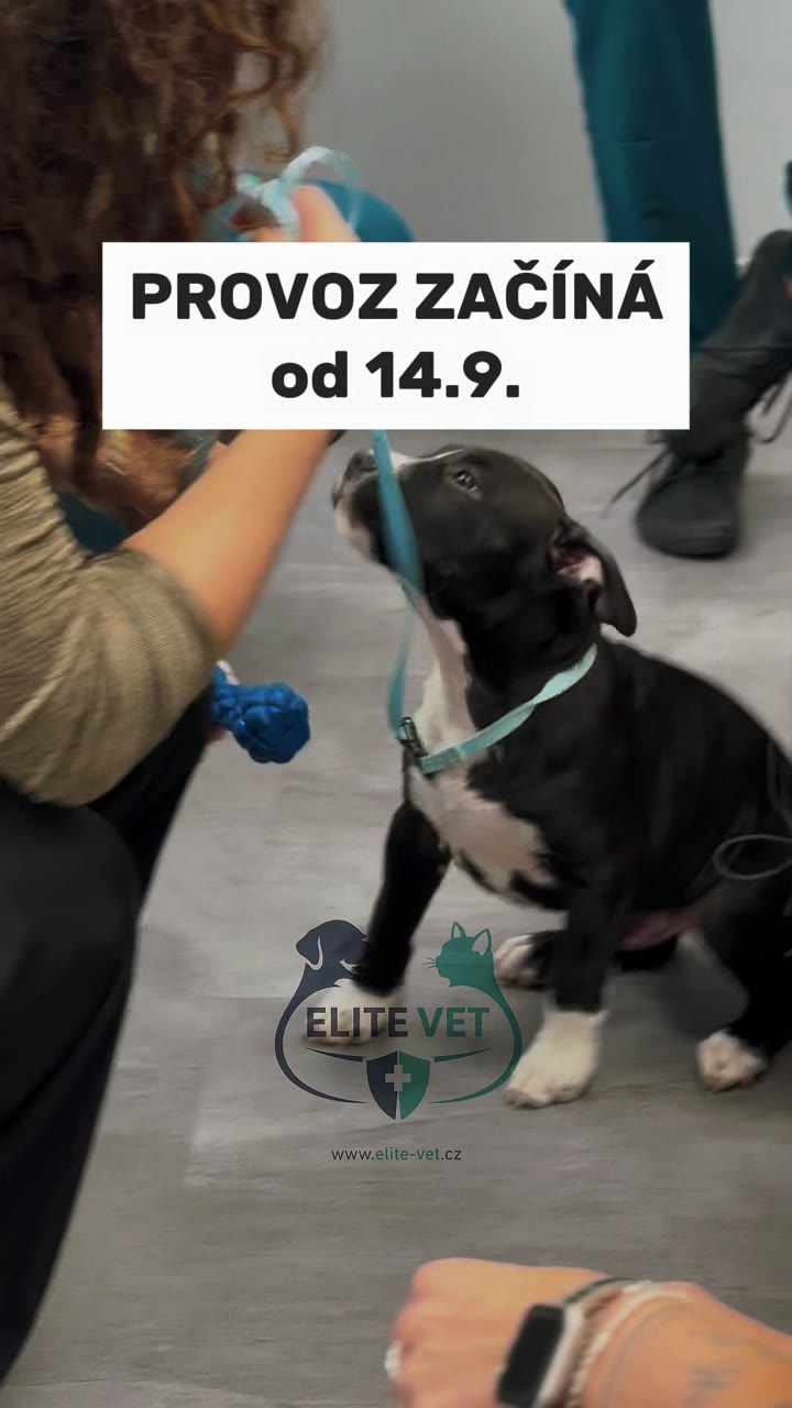klinika Elite Vet v provozu
